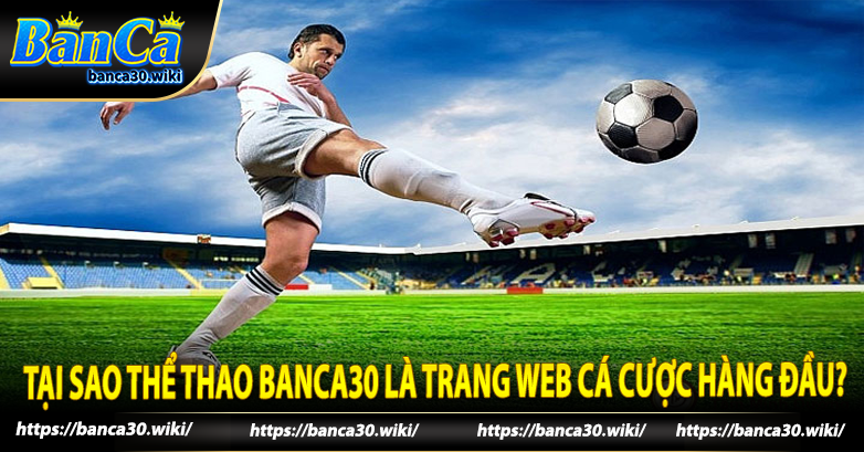 Tại sao thể thao Banca30 là trang web cá cược hàng đầu?